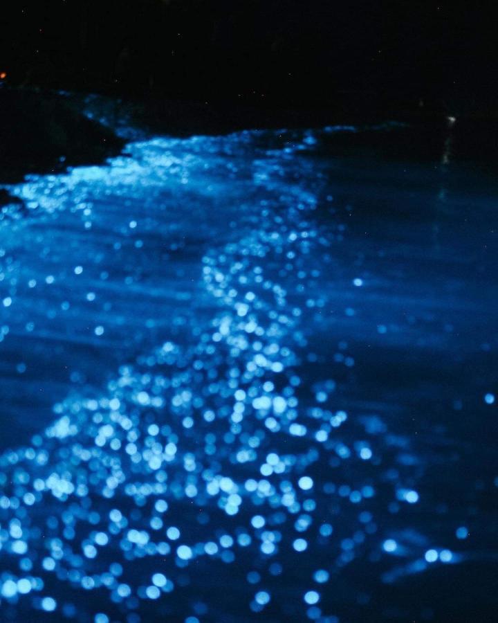 Rashuthere Maldives Rasdhoo ภายนอก รูปภาพ