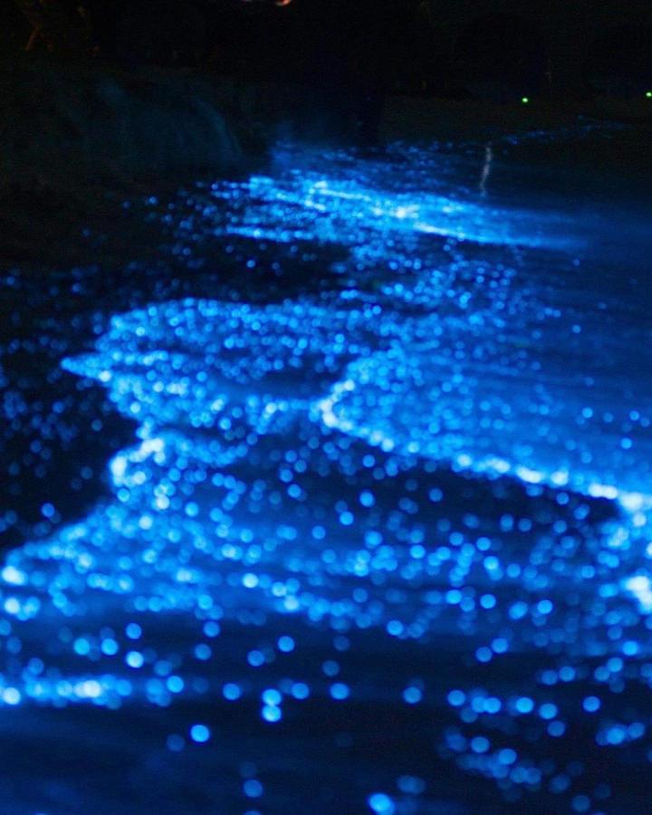 Rashuthere Maldives Rasdhoo ภายนอก รูปภาพ