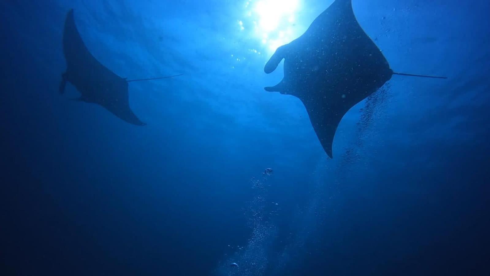 Rashuthere Maldives Rasdhoo ภายนอก รูปภาพ