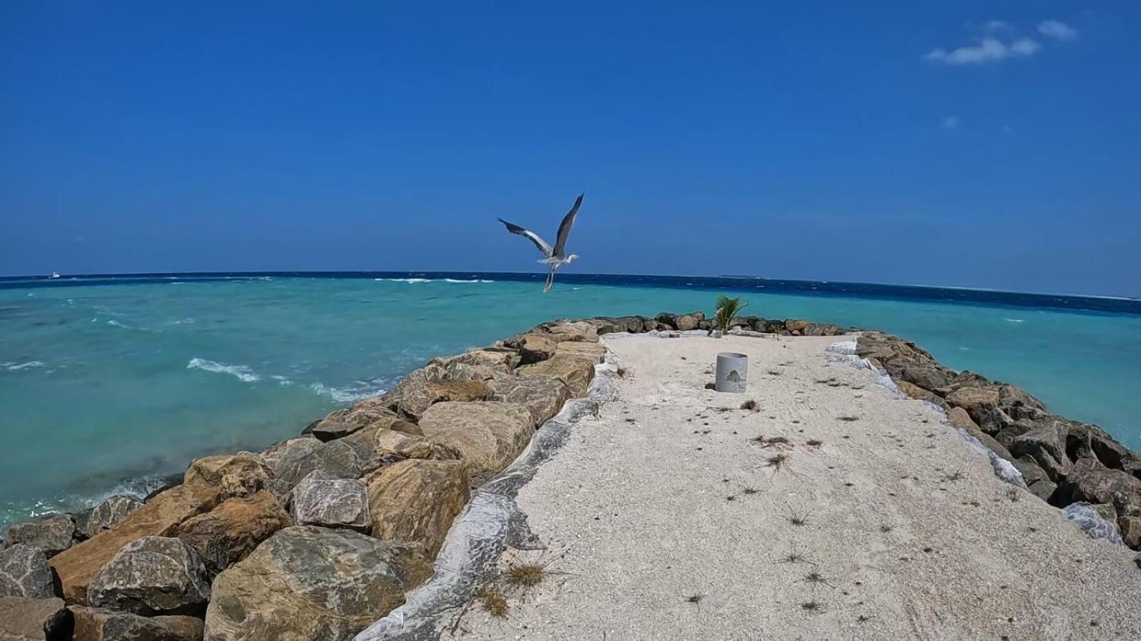 Rashuthere Maldives Rasdhoo ภายนอก รูปภาพ