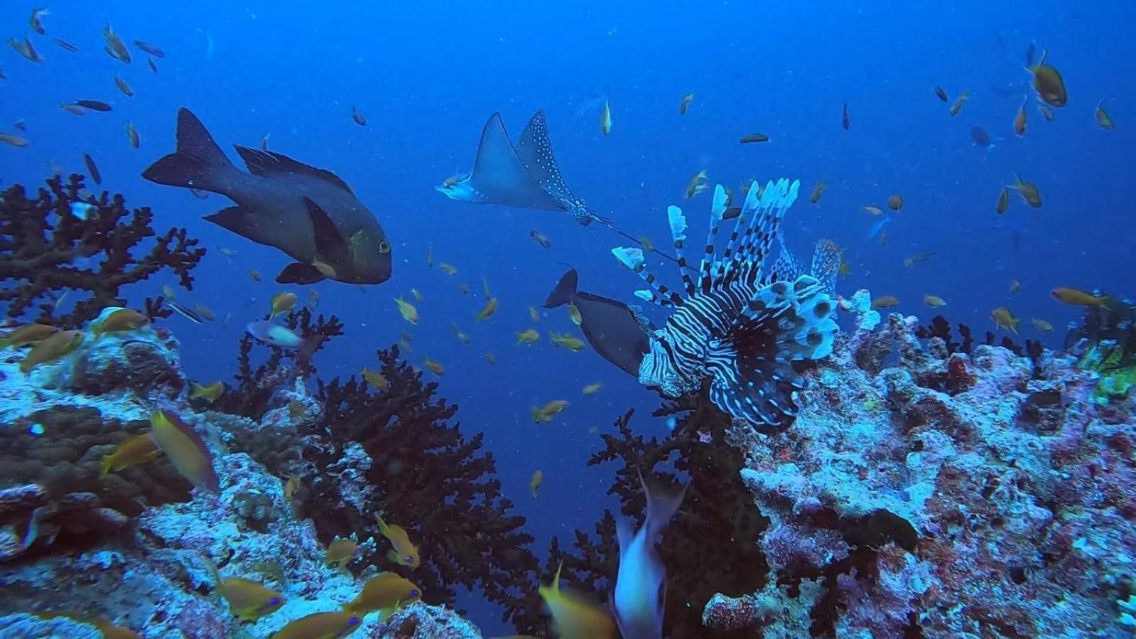 Rashuthere Maldives Rasdhoo ภายนอก รูปภาพ
