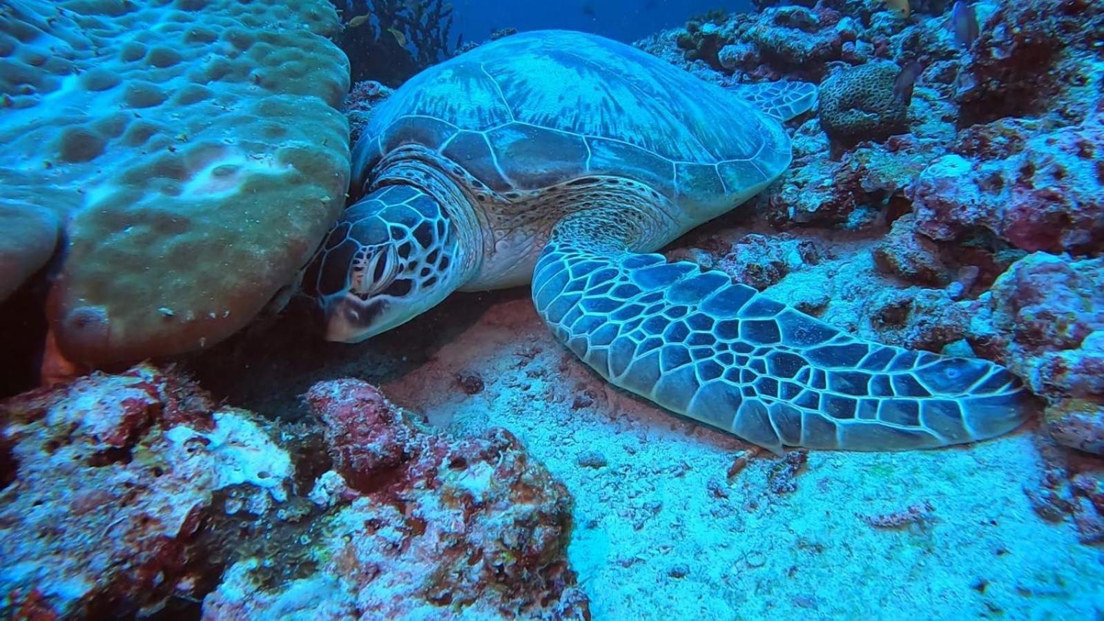 Rashuthere Maldives Rasdhoo ภายนอก รูปภาพ